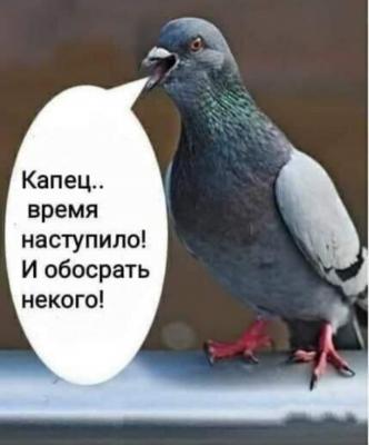 Прикрепленное изображение: 20200405_1446368569856527919279376.jpg